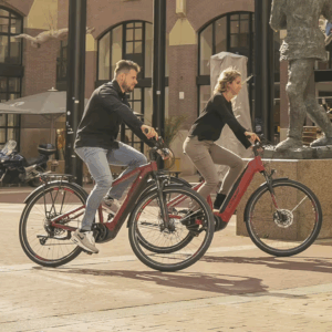 E-Citybike